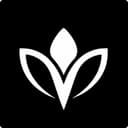 Vidyaa logo