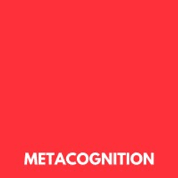 MetaCognition Labs